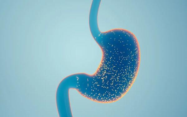 秋季养胃正当时!常吃5种食物,收获健康胃~ 秋季养胃正当时!常吃5种食物,收获健康胃~