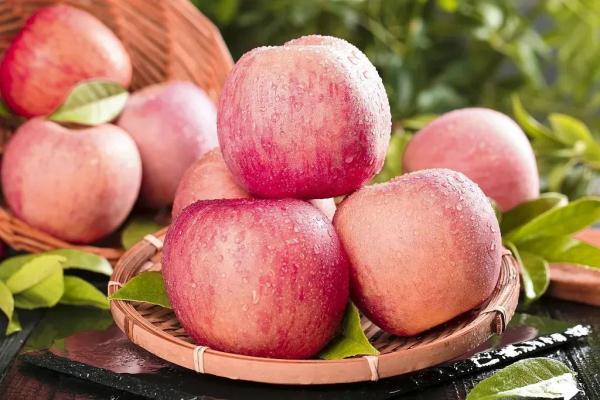 住手!这5种被你扔掉的果皮比果肉营养还高,5种健康吃法快去收藏 住手!这5种被你扔掉的果皮比果肉营养还高,5种健康吃法快去收藏