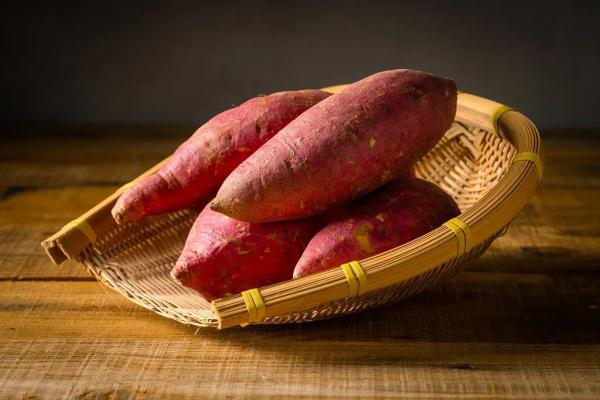 秋季养胃正当时!常吃5种食物,收获健康胃~ 秋季养胃正当时!常吃5种食物,收获健康胃~