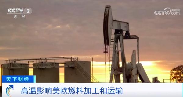 高温致命！数千人死亡！专家紧急提醒