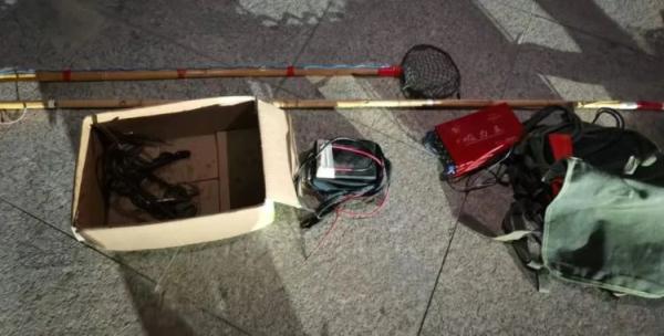 太可恶！偷了400条狗狗，这6人被抓！