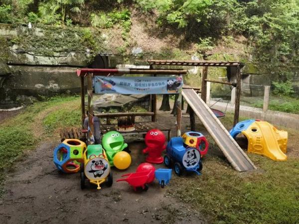 重庆动物园大熊猫龙凤胎2岁了，上千名游客现场帮他们庆生！