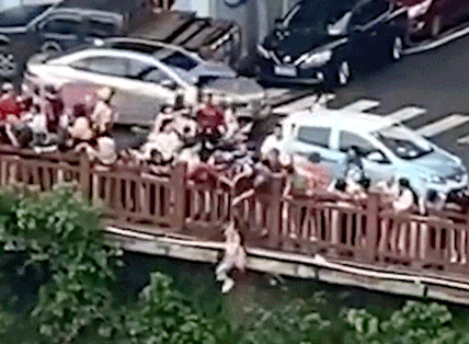 突然，他从8米高河堤跳下！现场太震撼……