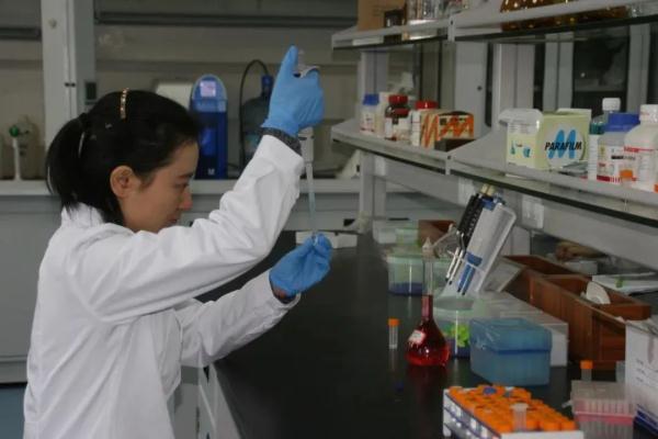 毒品也有“基因”！盘踞贵阳周边“家族式”特大贩毒团伙被铲除