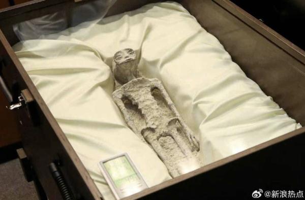 热搜爆了!“外星人尸体”被展出→ 热搜爆了!“外星人尸体”被展出→