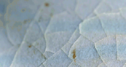 这件汝窑瓷瓶是目前存世独一份 这件汝窑瓷瓶是目前存世独一份