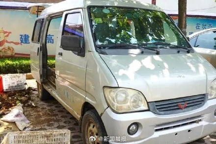 1夜偷挖700斤芋头!这俩盗贼被民警村民夸赞勤奋 1夜偷挖700斤芋头!这俩盗贼被民警村民夸赞勤奋