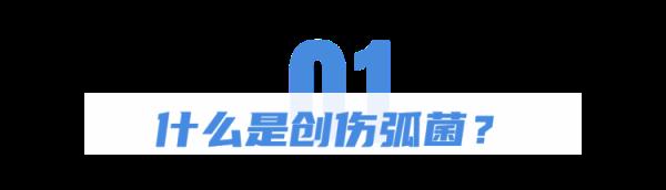 女子被梭子蟹扎伤进了ICU，处理这些海鲜一定要注意！
