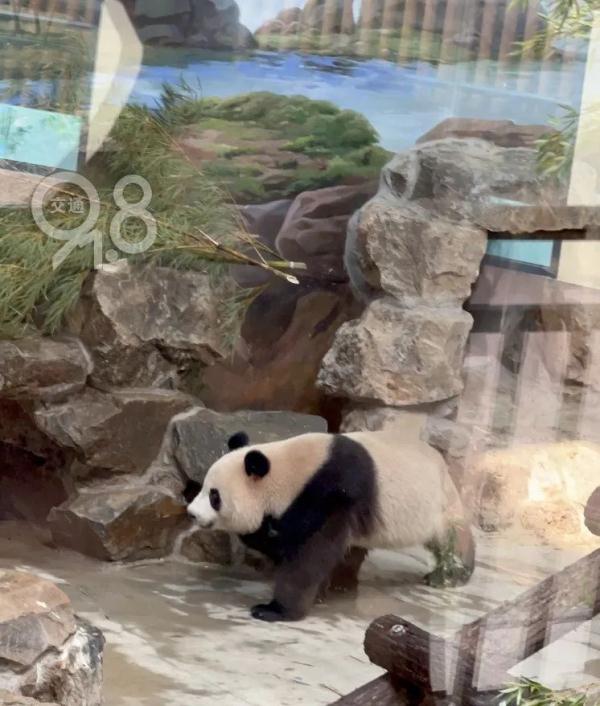 这对明星还是“分居”了!原因竟是...... 这对明星还是“分居”了!原因竟是......