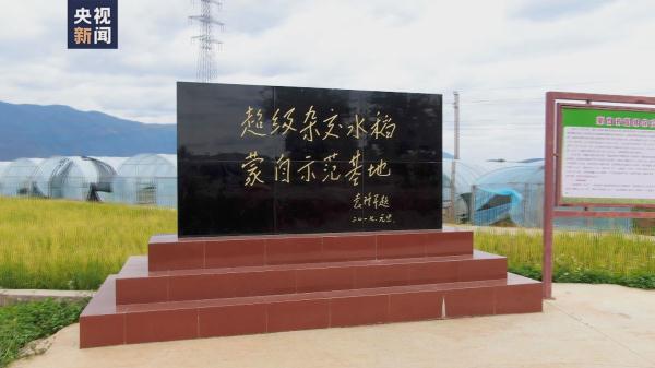 亩产1186公斤！距离袁爷爷1200公斤目标又近了一步