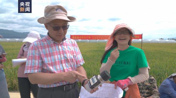 亩产1186公斤！距离袁爷爷1200公斤目标又近了一步