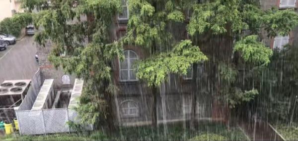 注意！上海“两蓝一黄”三预警高挂中，网友：雨像倒下来的，开车像开船……