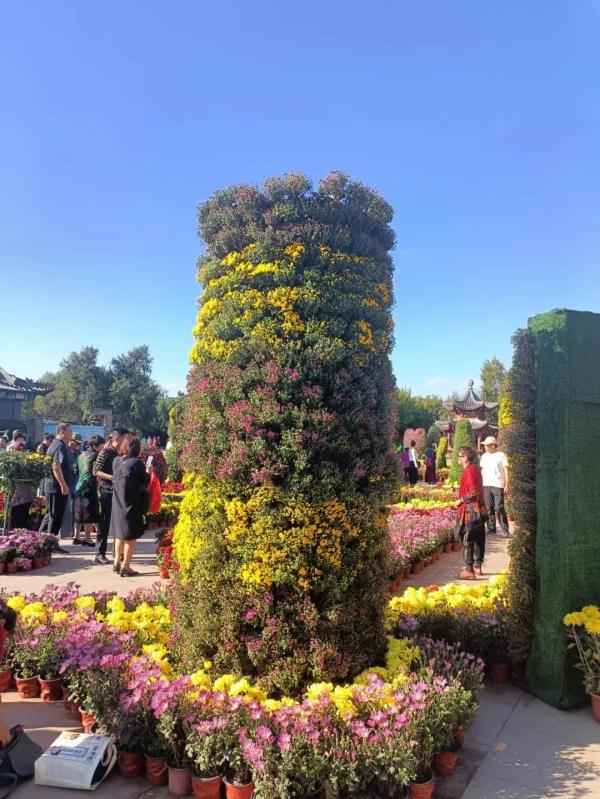 东北三省规模最大菊花展15日将在两个展区同时开幕