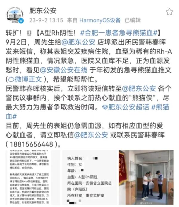 一条求助信息“炸出”100多名“熊猫侠”！这场爱心接力仍在继续