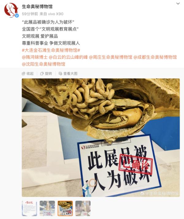 48万元标本被掰断，博物馆不修了
