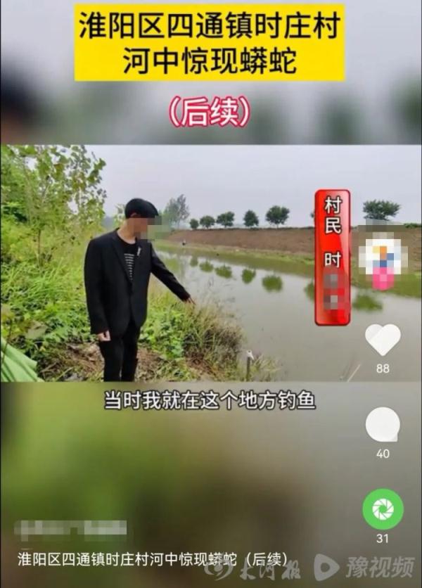 河南周口一河中发现巨型“长虫”?当地回应 河南周口一河中发现巨型“长虫”?当地回应