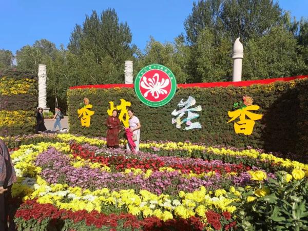 东北三省规模最大菊花展15日将在两个展区同时开幕