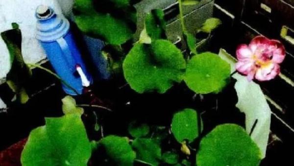 4天连偷7次！男子偷快递 “享受拆盲盒的快感”？