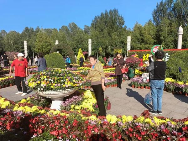 东北三省规模最大菊花展15日将在两个展区同时开幕