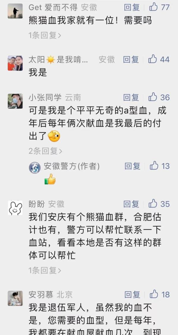 一条求助信息“炸出”100多名“熊猫侠”！这场爱心接力仍在继续