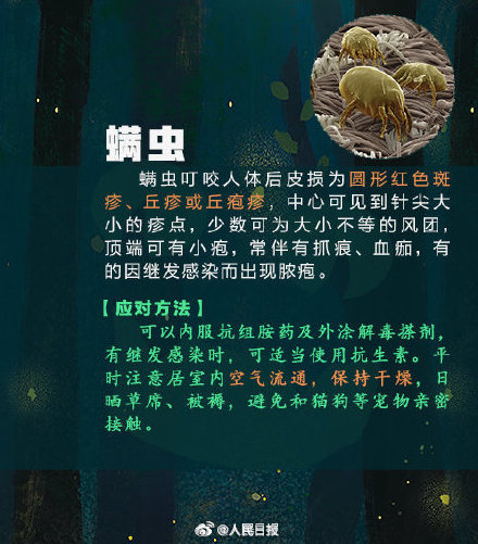 女子捏死隐翅虫手臂被腐蚀7天还没好 女子捏死隐翅虫手臂被腐蚀7天还没好