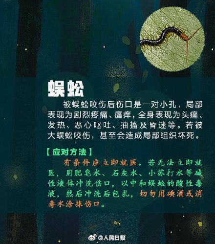 女子捏死隐翅虫手臂被腐蚀7天还没好 女子捏死隐翅虫手臂被腐蚀7天还没好
