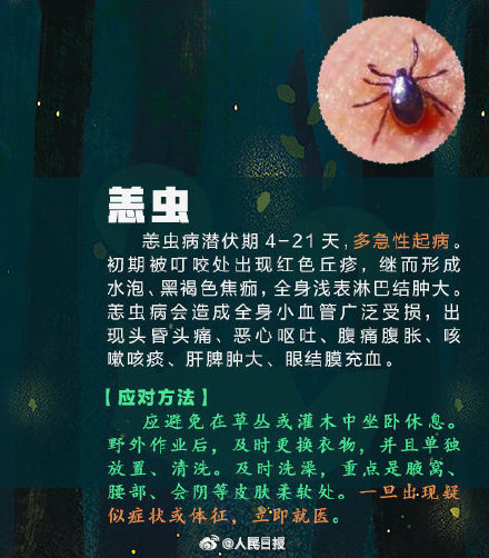 女子捏死隐翅虫手臂被腐蚀7天还没好 女子捏死隐翅虫手臂被腐蚀7天还没好