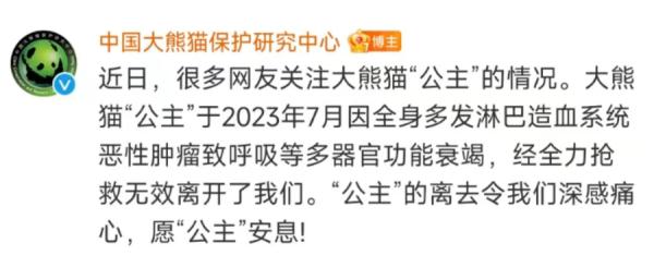 大熊猫“公主”“融融”均已离世,因病抢救无效死亡 大熊猫“公主”“融融”均已离世,因病抢救无效死亡