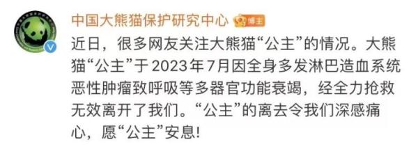 中国大熊猫保护研究中心：大熊猫“公主”和“融融”已离世