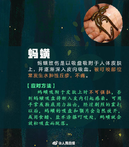 女子捏死隐翅虫手臂被腐蚀7天还没好 女子捏死隐翅虫手臂被腐蚀7天还没好