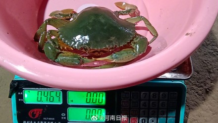 陆产海鲜与普通海鲜有什么区别？
