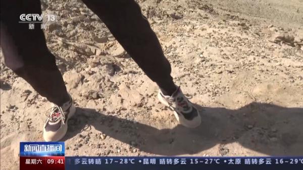 穿越20公里戈壁荒漠 普氏野马放归自然 它们如何补充体能？