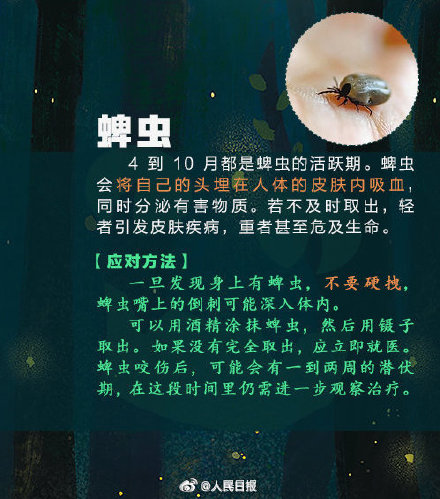 女子捏死隐翅虫手臂被腐蚀7天还没好 女子捏死隐翅虫手臂被腐蚀7天还没好