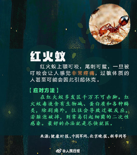 女子捏死隐翅虫手臂被腐蚀7天还没好 女子捏死隐翅虫手臂被腐蚀7天还没好