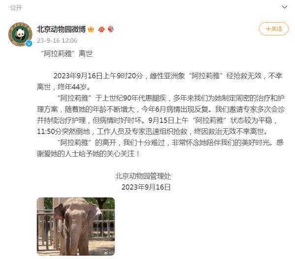 北京动物园44岁亚洲象离世