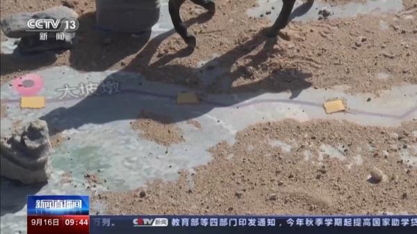 穿越20公里戈壁荒漠 普氏野马放归自然 它们如何补充体能？