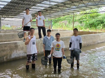 陆产海鲜与普通海鲜有什么区别？