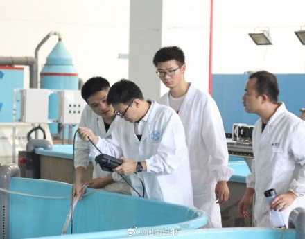 陆产海鲜与普通海鲜有什么区别？