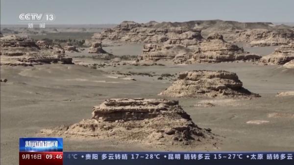 穿越20公里戈壁荒漠 普氏野马放归自然 它们如何补充体能？