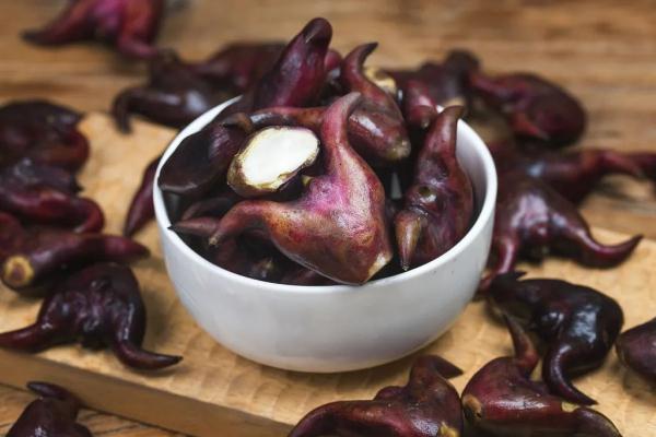 这3个“水中珍宝”,味道鲜美还养人,现在吃正好! 这3个“水中珍宝”,味道鲜美还养人,现在吃正好!