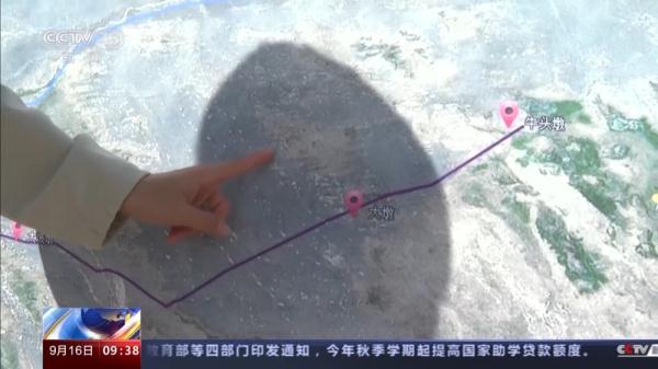 穿越20公里戈壁荒漠 普氏野马放归自然 它们如何补充体能？