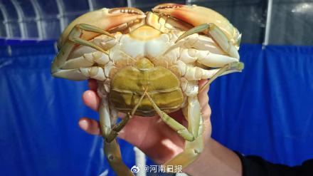陆产海鲜与普通海鲜有什么区别？