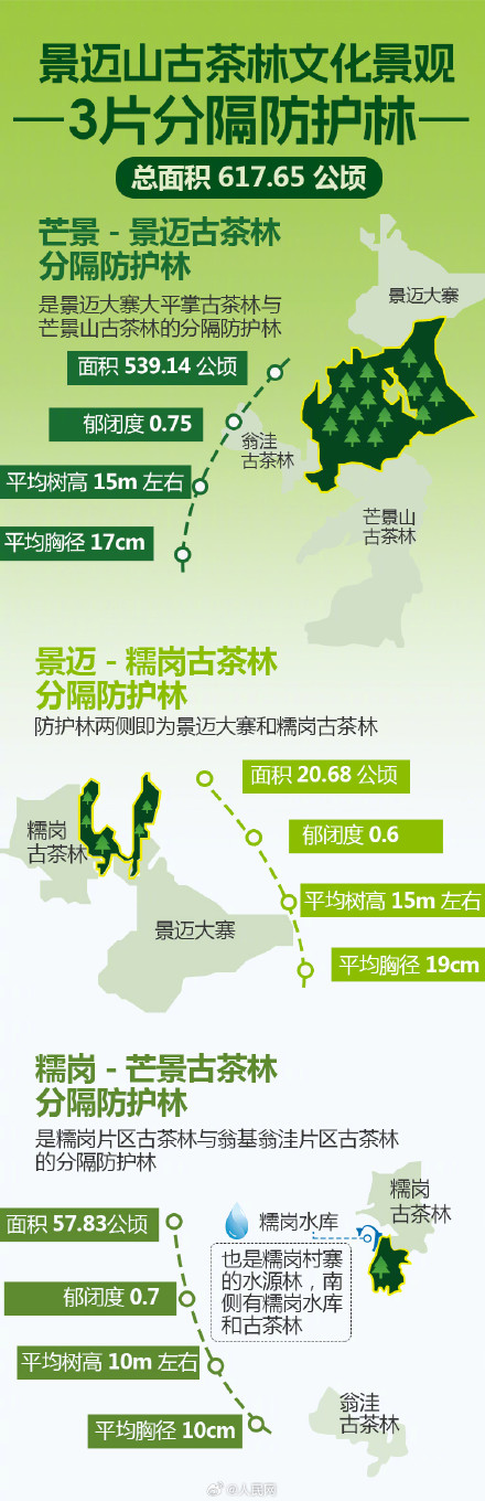 9图了解世界遗产普洱景迈山古茶林 9图了解世界遗产普洱景迈山古茶林