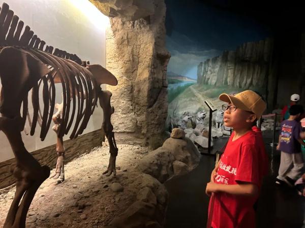 百年水洞沟揭秘史前人类