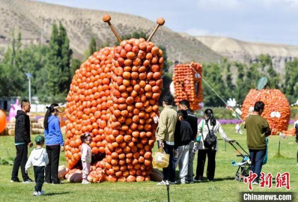 巨型南瓜狂欢节亮相乌鲁木齐 巨型南瓜狂欢节亮相乌鲁木齐