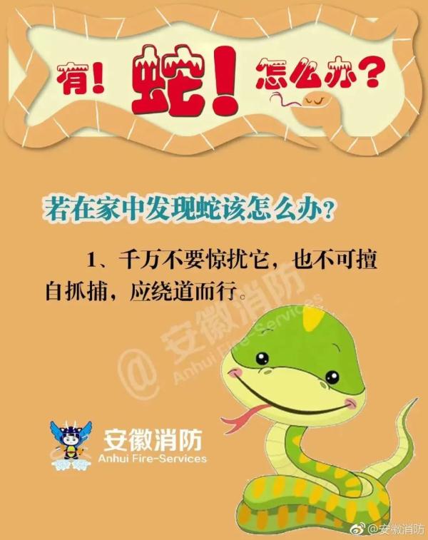 “眼镜蛇”惊现佛山民居！遇到怎么办？