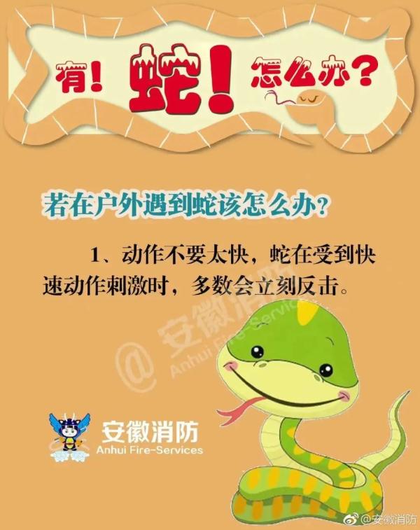 “眼镜蛇”惊现佛山民居！遇到怎么办？