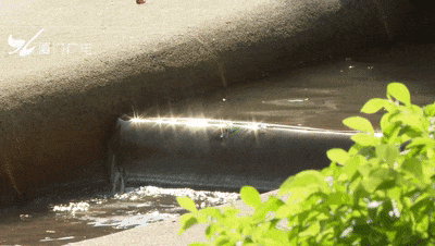 厦门这处网红温泉泡脚池，水质变差？最新回应→