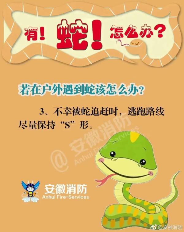 “眼镜蛇”惊现佛山民居！遇到怎么办？