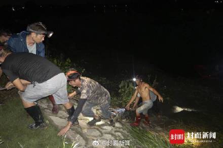 广东茂名出逃鳄鱼已捕获69条 还有2条仍在搜寻